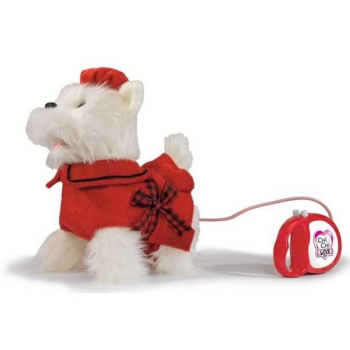 Szykowny piesek Poshi